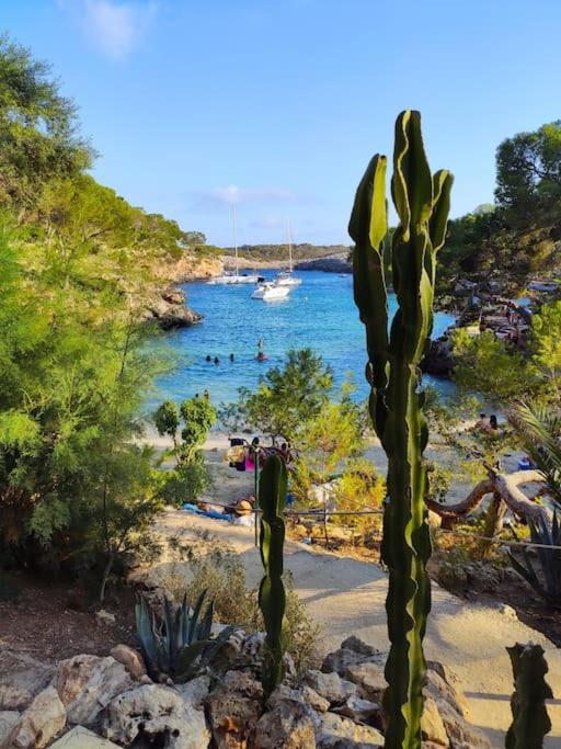 Tranquilo Apartamento Con Vistas Al Mar. Port de Alcudia  Eksteriør bilde